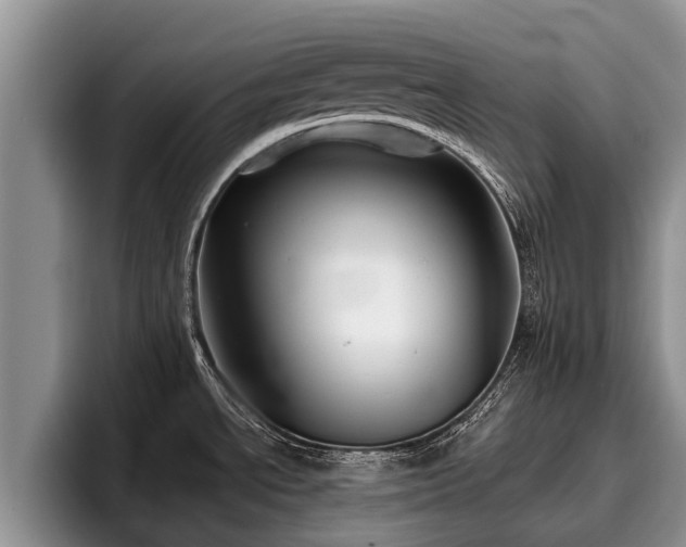 X0000095881534200801181155
