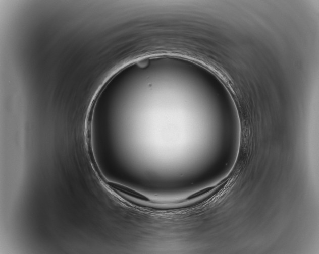 X0000095881535200801181155