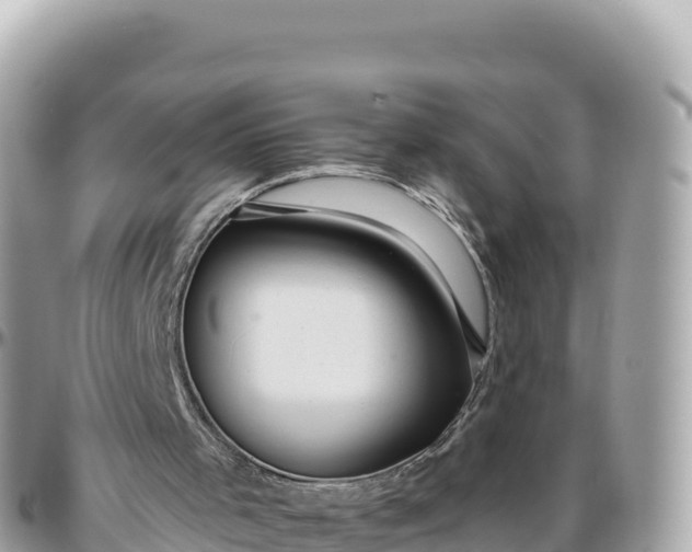 X0000095880001200801251150