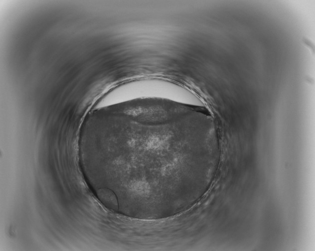 X0000095880002200801251150