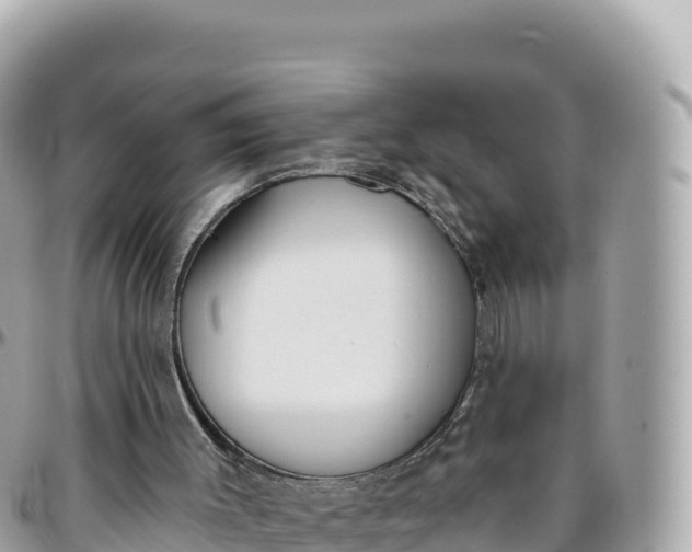 X0000095880003200801251150