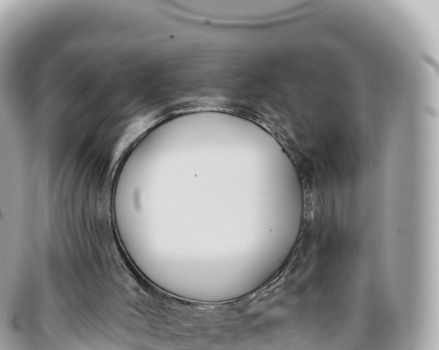 X0000095880004200801251150