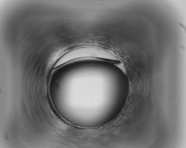 X0000095880005200801251150