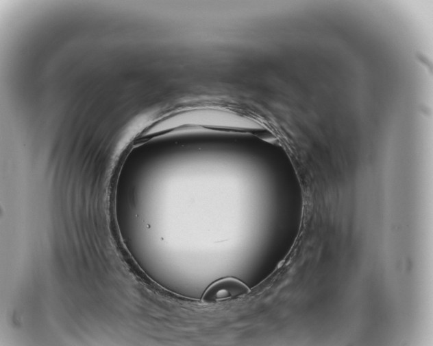 X0000095880006200801251150