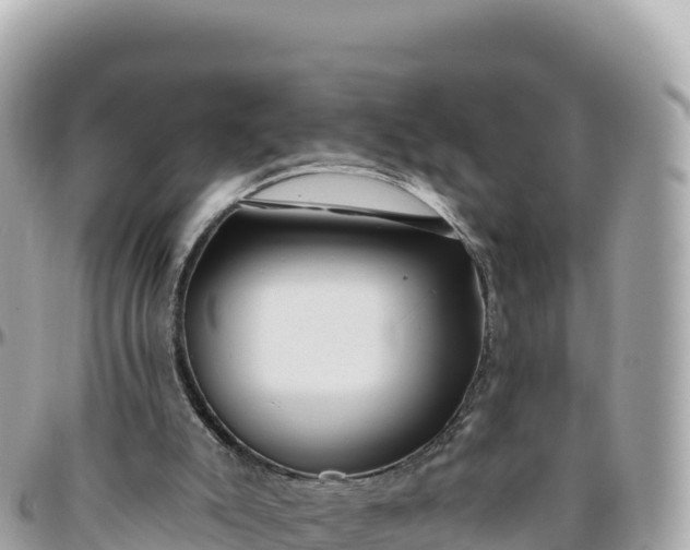 X0000095880007200801251150