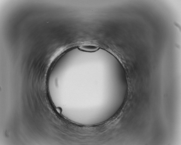 X0000095880008200801251150