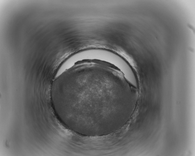 X0000095880009200801251150