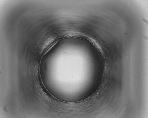 X0000095880010200801251150