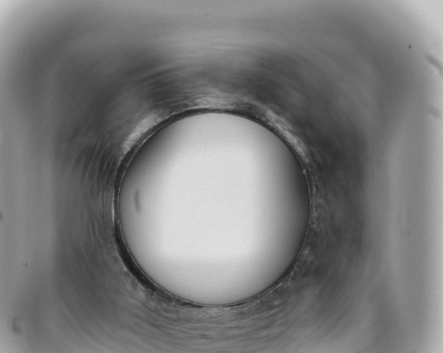 X0000095880011200801251150