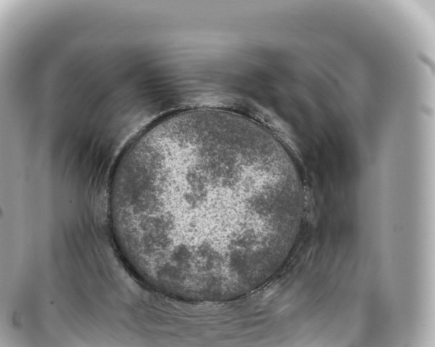 X0000095880012200801251150