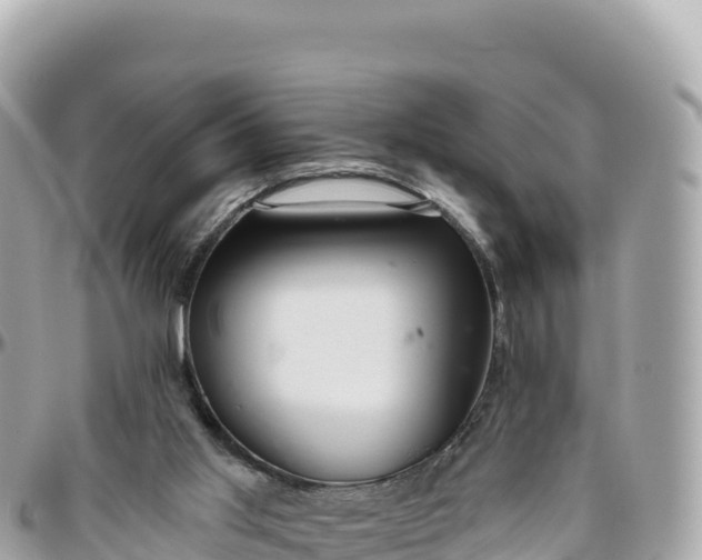 X0000095880013200801251150