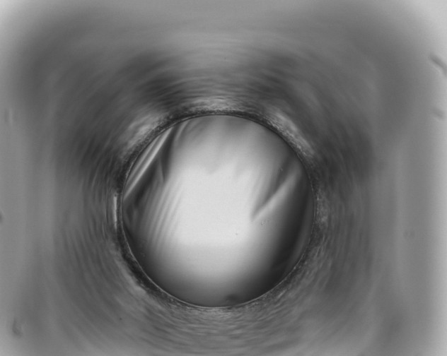 X0000095880014200801251150