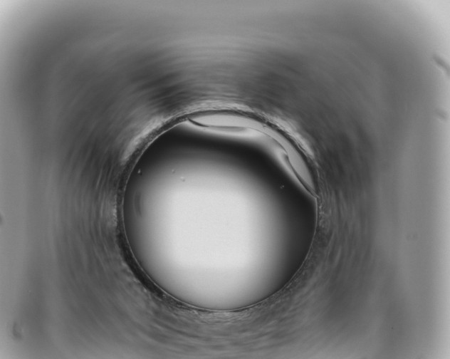 X0000095880015200801251150