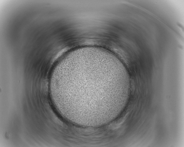 X0000095880016200801251150