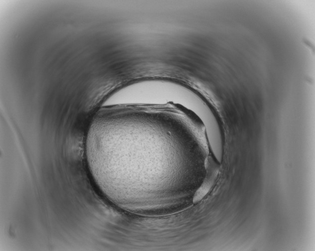 X0000095880017200801251150