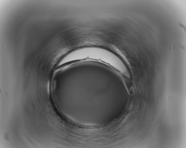 X0000095880019200801251150