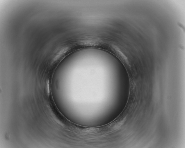 X0000095880020200801251150