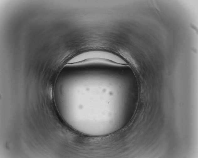 X0000095880021200801251150