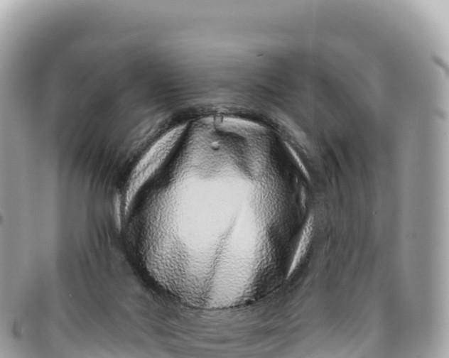 X0000095880022200801251150