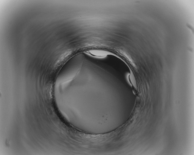 X0000095880023200801251150