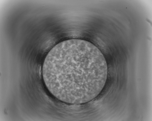 X0000095880024200801251150