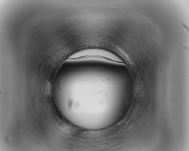 X0000095880025200801251150