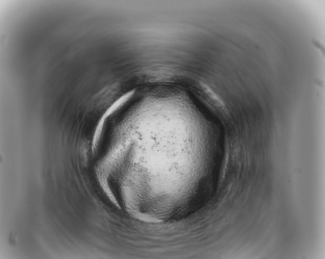 X0000095880026200801251150