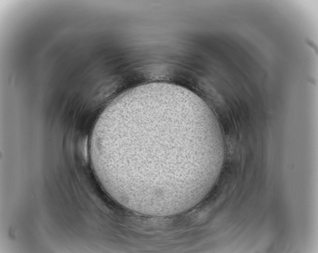 X0000095880028200801251150