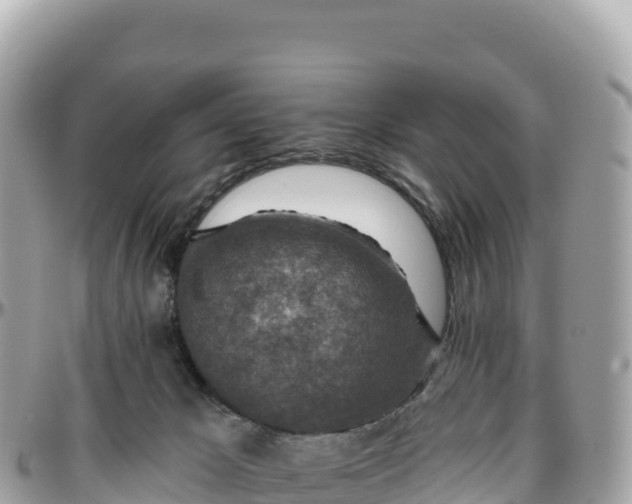 X0000095880029200801251150