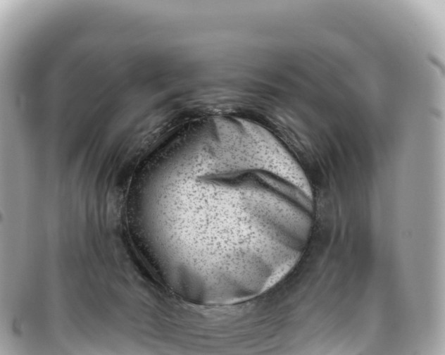 X0000095880030200801251150