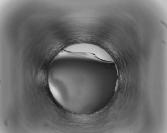 X0000095880031200801251150