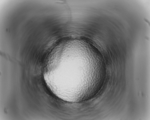 X0000095880032200801251150