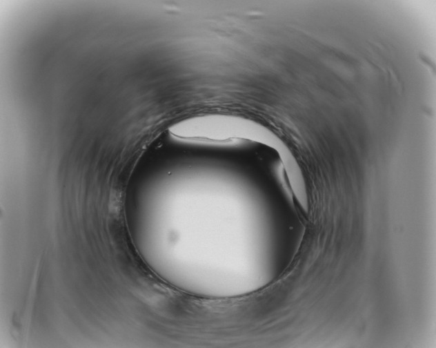 X0000095880033200801251150