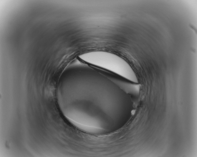 X0000095880035200801251150