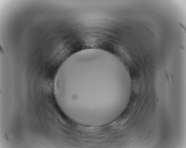 X0000095880036200801251150