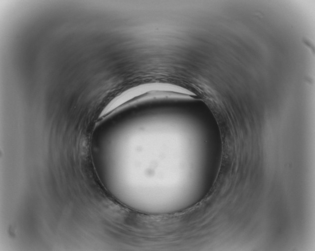 X0000095880037200801251150