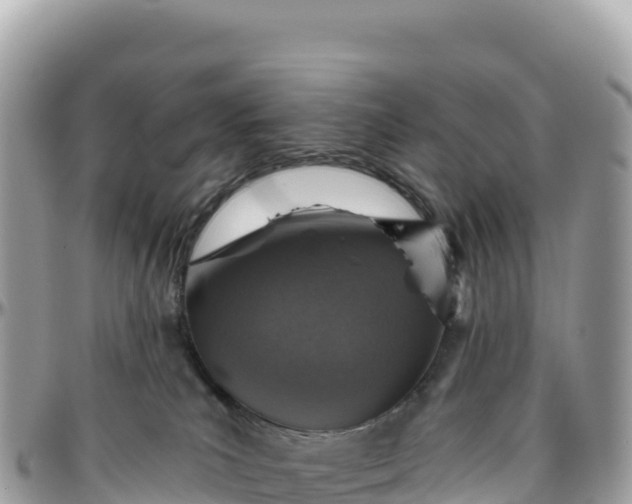 X0000095880039200801251150