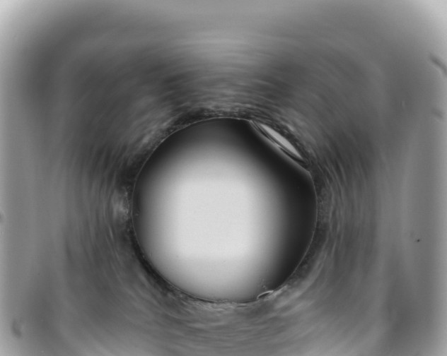 X0000095880040200801251150