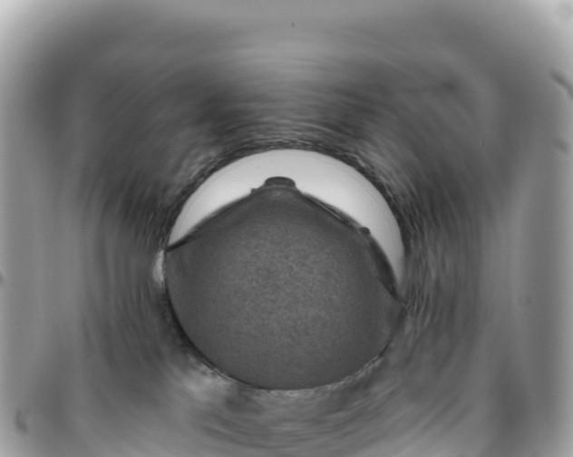 X0000095880041200801251150