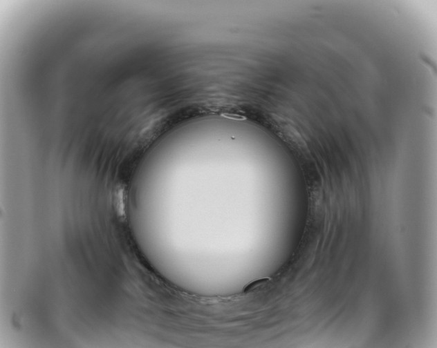 X0000095880042200801251150