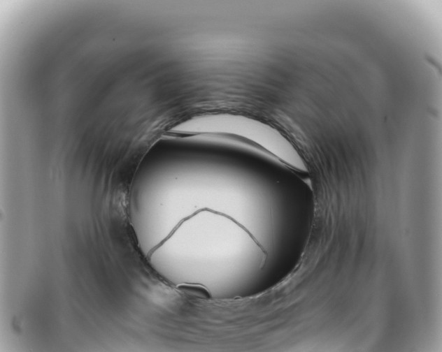 X0000095880045200801251150