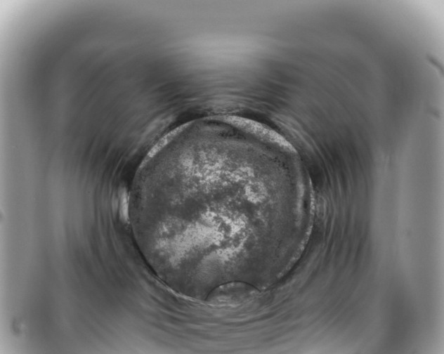 X0000095880046200801251150