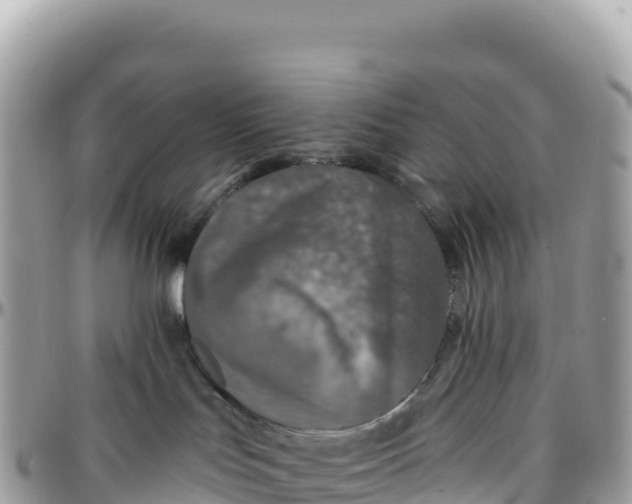 X0000095880047200801251150