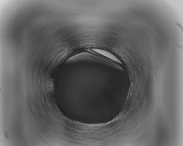 X0000095880048200801251150