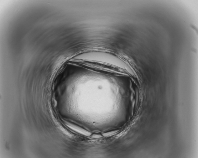 X0000095880049200801251149