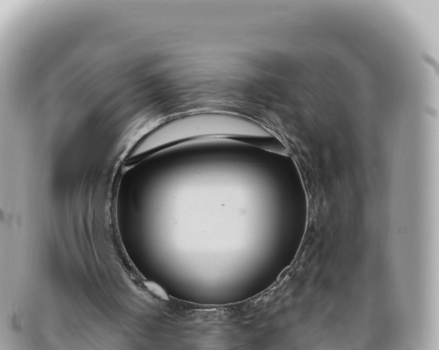 X0000095880050200801251149