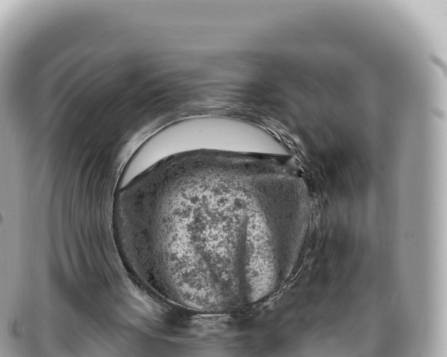 X0000095880051200801251149