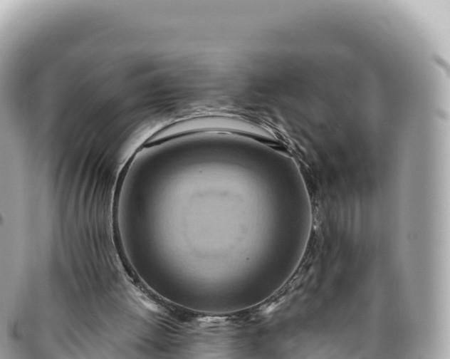 X0000095880052200801251149