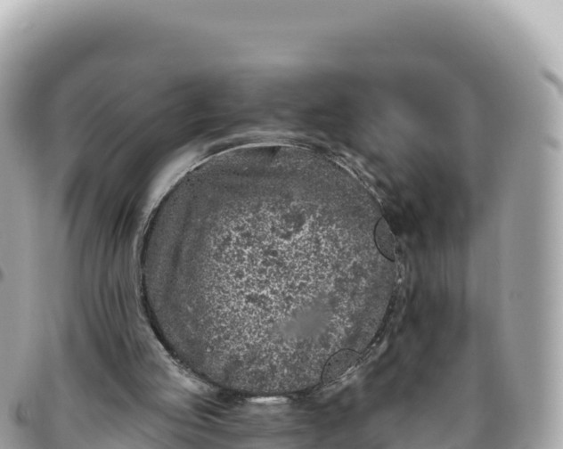 X0000095880053200801251149