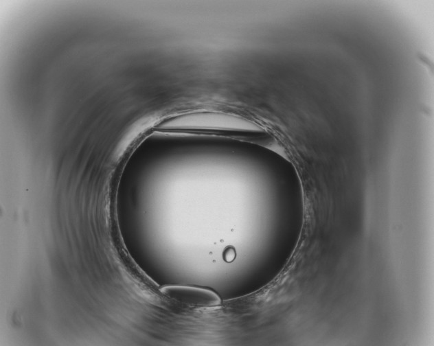 X0000095880054200801251149